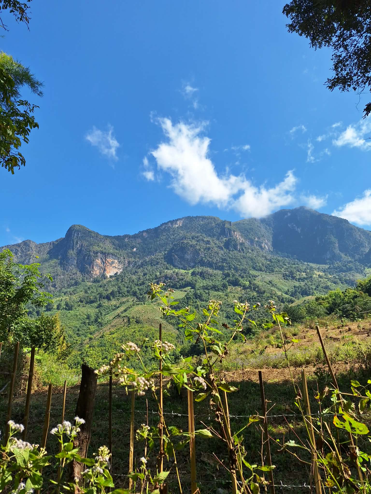 Explore Nature with Adventure Eco Tours